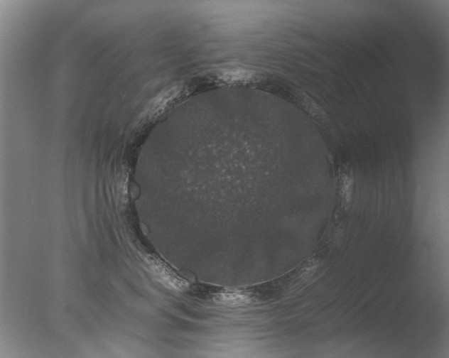 X0000078020668200610271235