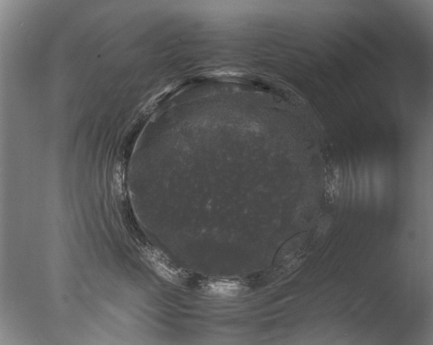 X0000078020669200610271235