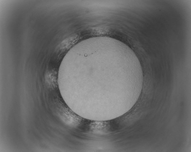 X0000078020672200610271235