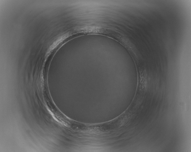 X0000078020674200610271234