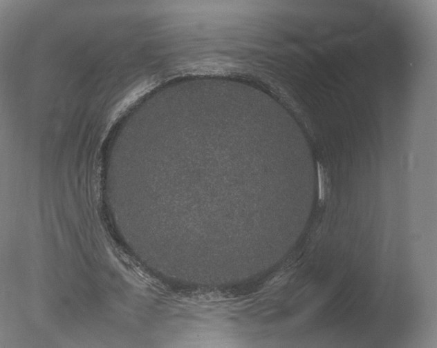 X0000078020675200610271234