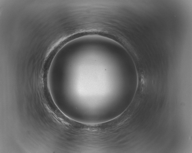 X0000078020676200610271234