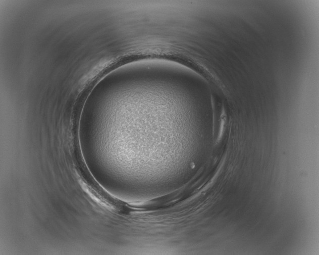 X0000078020677200610271234