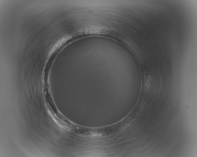 X0000078020678200610271234