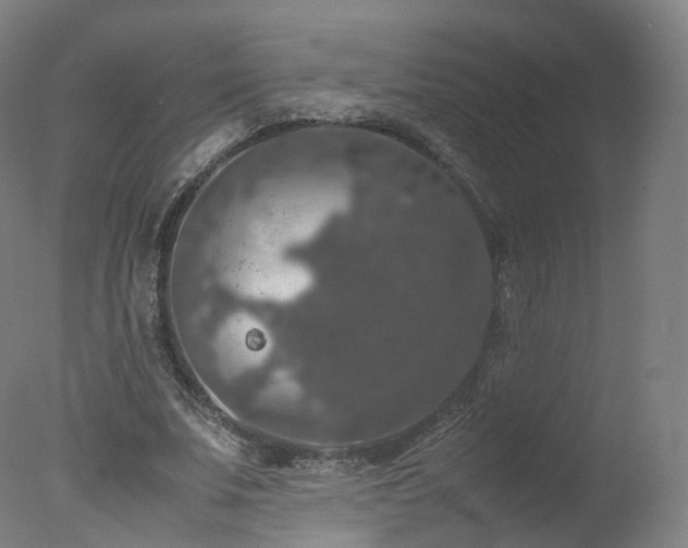 X0000078020679200610271234