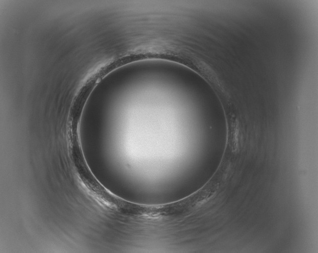 X0000078020680200610271234