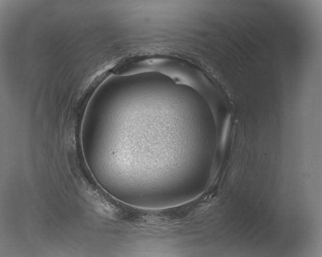 X0000078020681200610271234