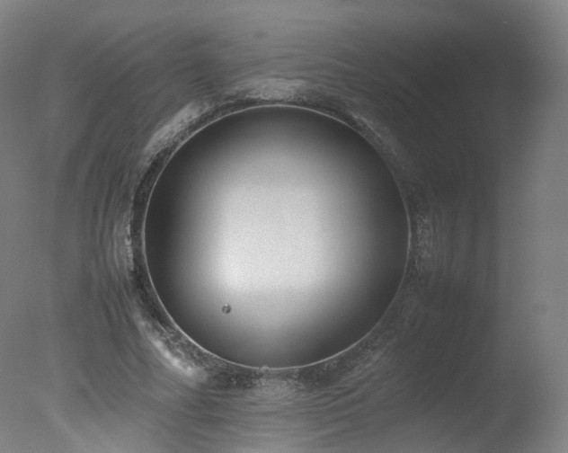 X0000078020682200610271234