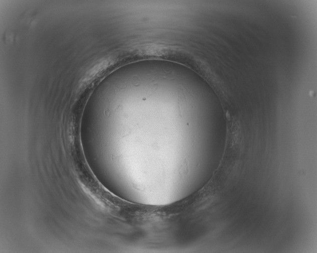 X0000078020683200610271234