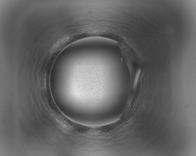 X0000078020685200610271234