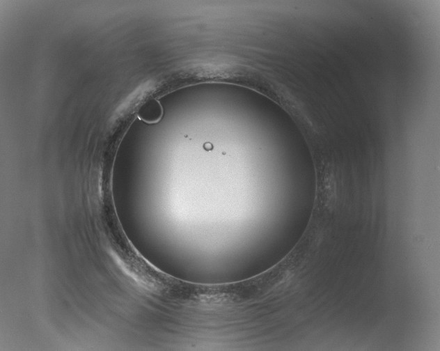 X0000078020686200610271234