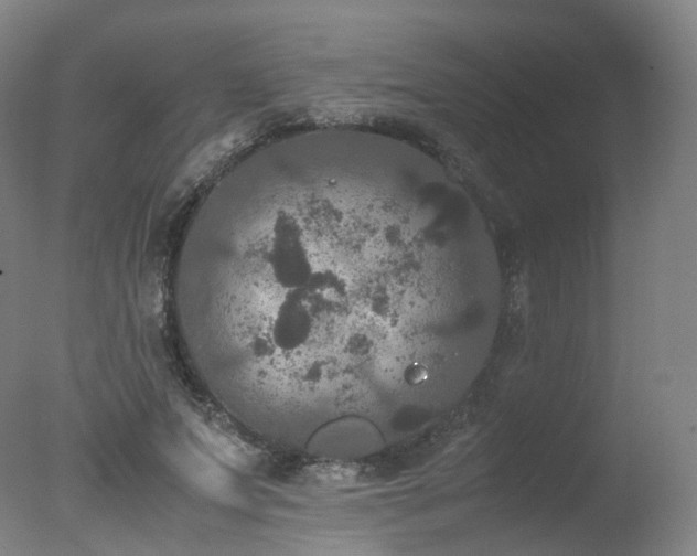 X0000078020687200610271234