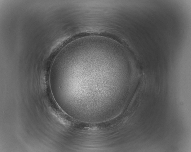 X0000078020688200610271234