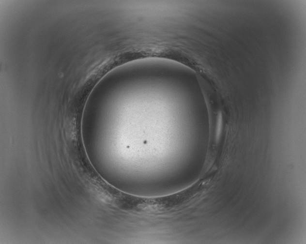 X0000078020689200610271234