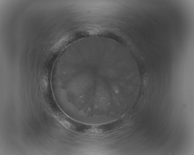 X0000078020691200610271234