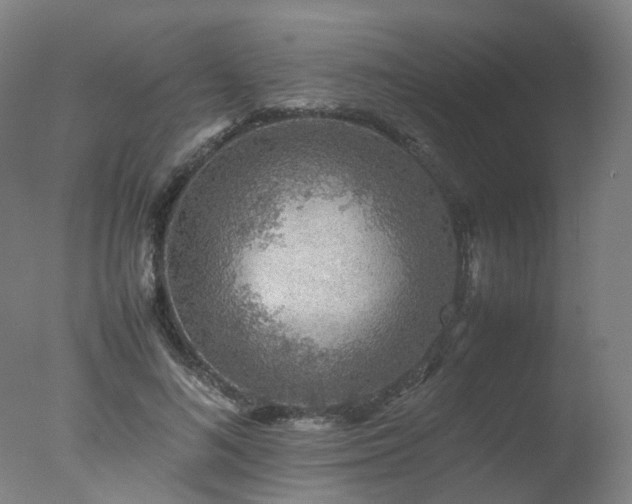 X0000078020692200610271234