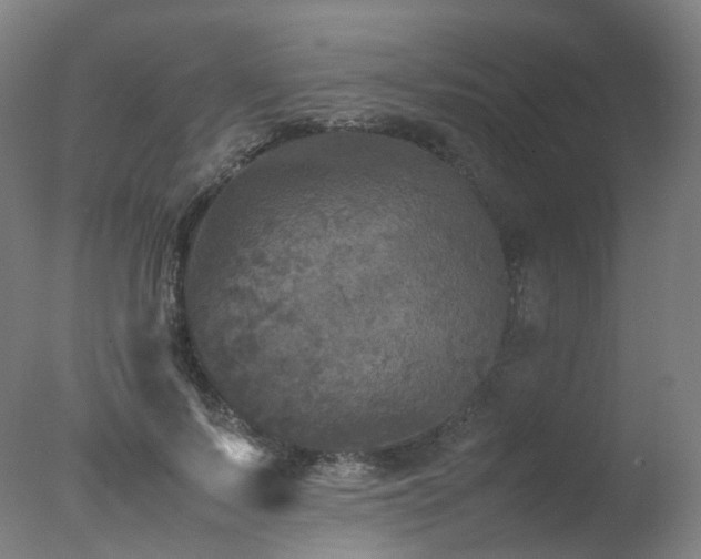 X0000078020695200610271234