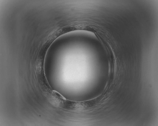 X0000078020697200610271234