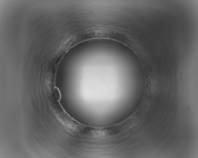 X0000078020698200610271234