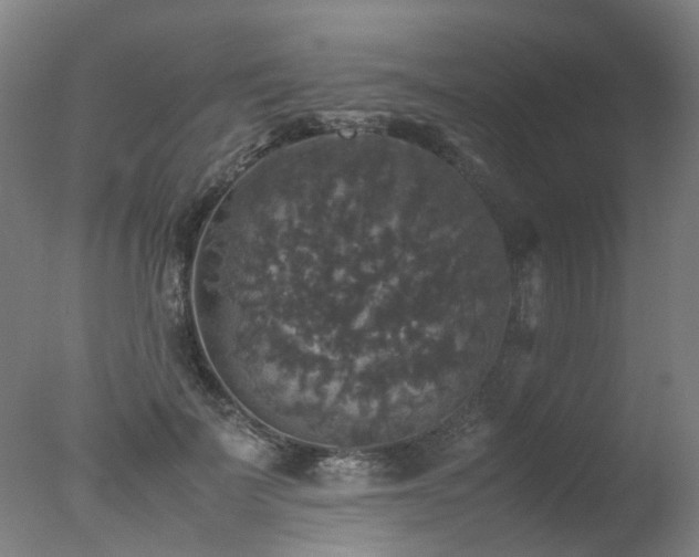 X0000078020699200610271234