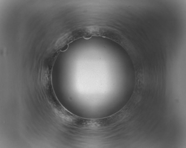 X0000078020702200610271234