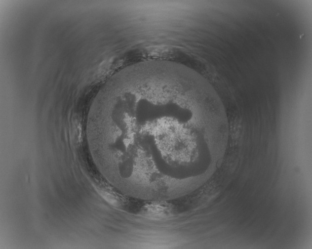 X0000078020703200610271234