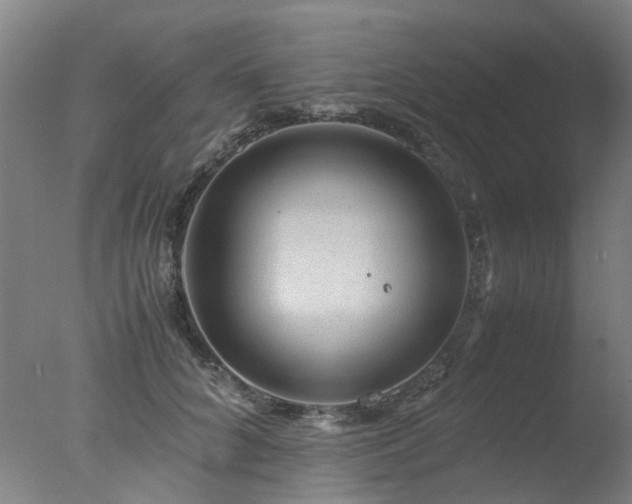 X0000078020704200610271234