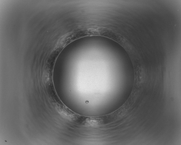 X0000078020706200610271234