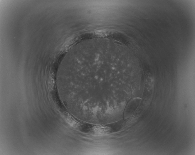 X0000078020707200610271234