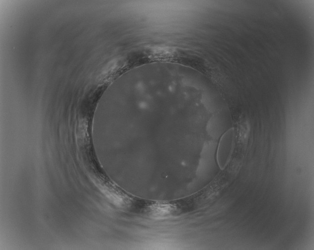 X0000078020711200610271234