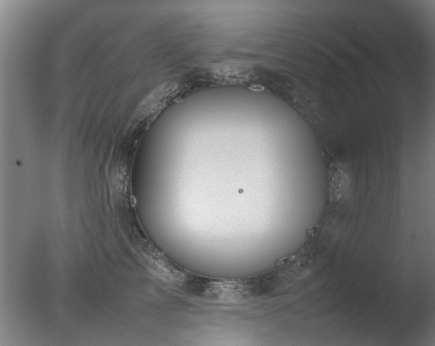 X0000078020713200610271234