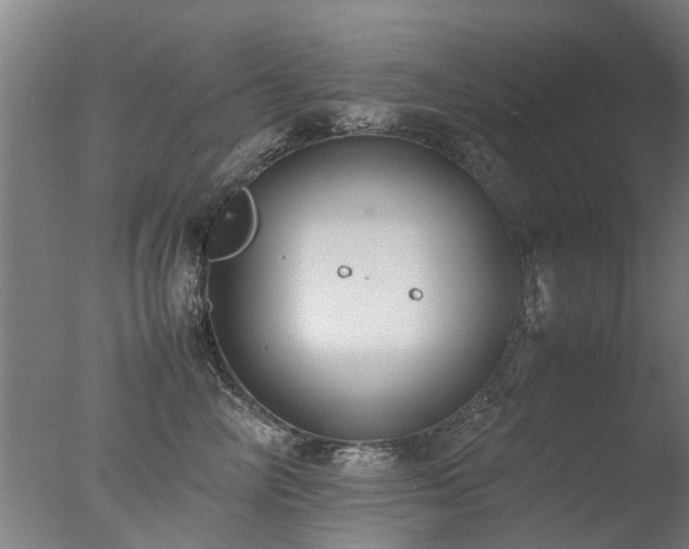 X0000078020714200610271234