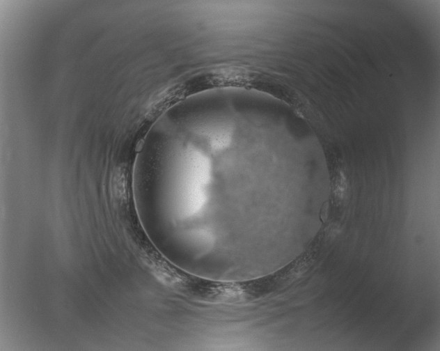 X0000078020715200610271234