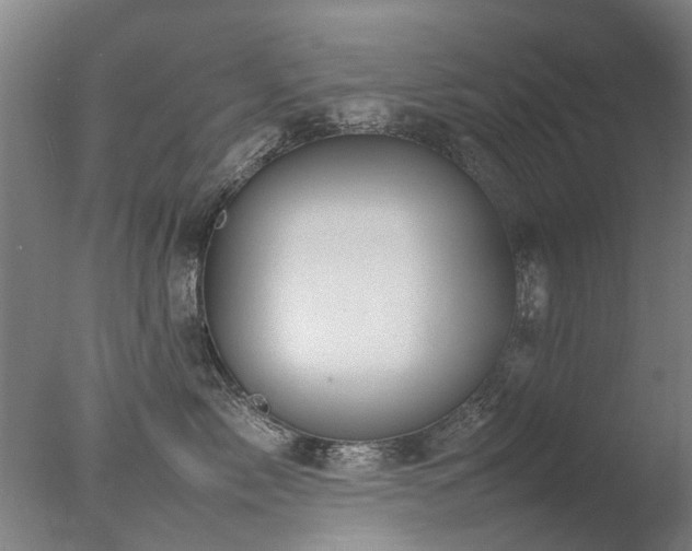 X0000078020717200610271234