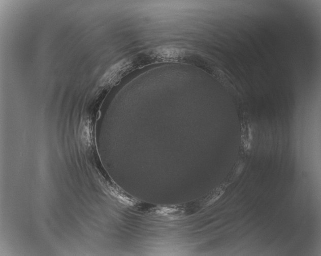 X0000078020718200610271234