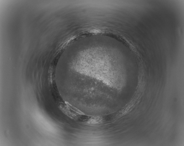 X0000078020720200610271234