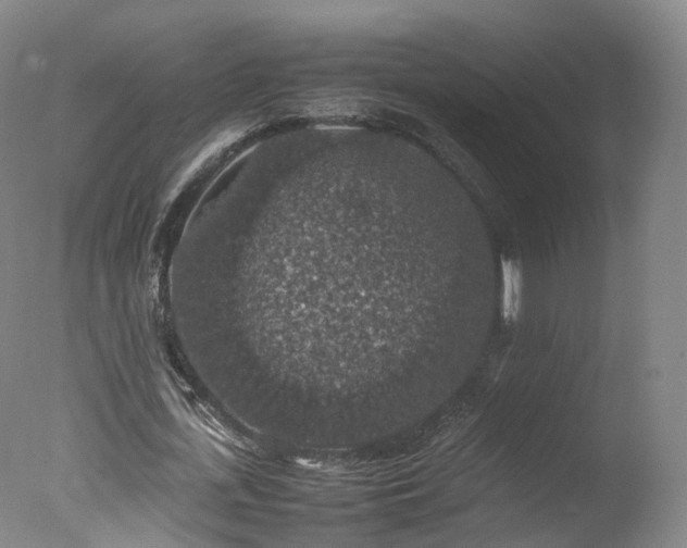 X0000078020723200610271233