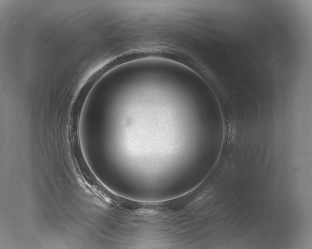 X0000078020724200610271233