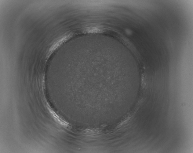 X0000078020725200610271233