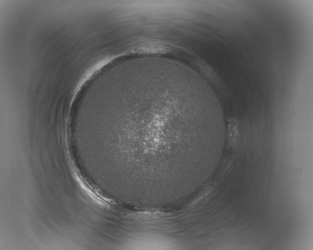 X0000078020726200610271233