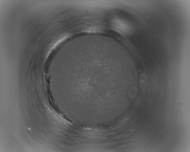 X0000078020727200610271233