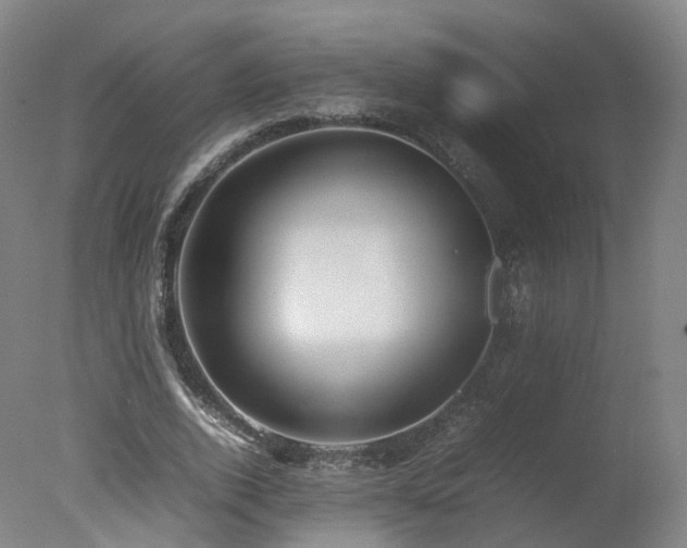 X0000078020728200610271233