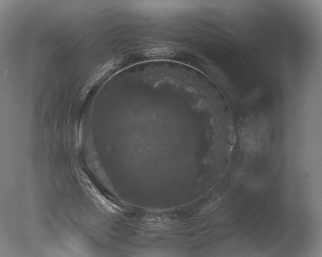 X0000078020729200610271233