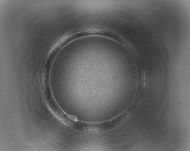 X0000078020730200610271233