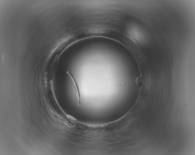 X0000078020731200610271233