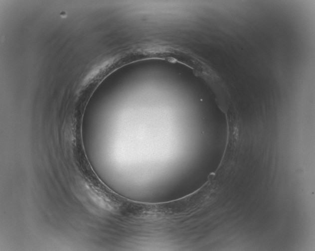 X0000078020732200610271233