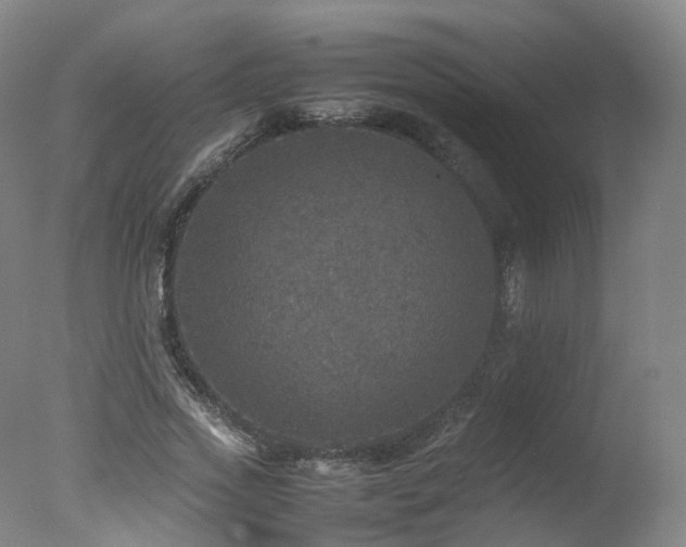 X0000078020733200610271233