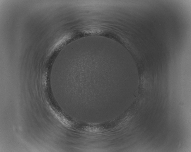 X0000078020735200610271233