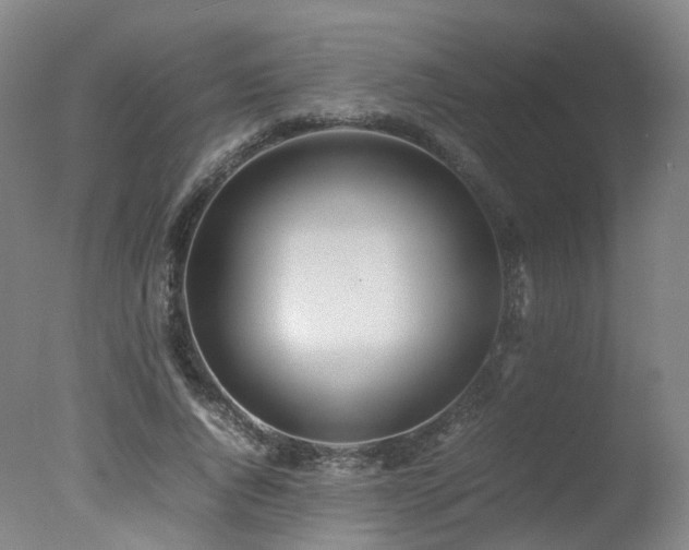 X0000078020736200610271233