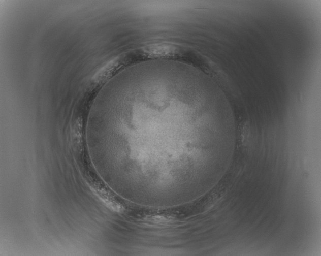 X0000078020737200610271233